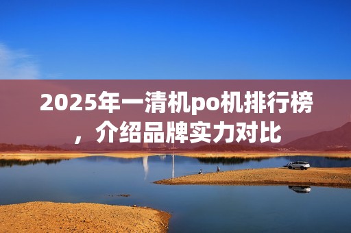 2025年一清机po机排行榜，介绍品牌实力对比