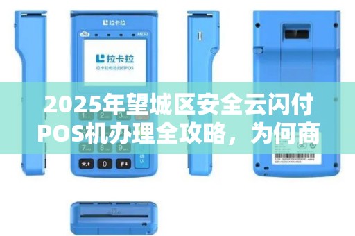 2025年望城区安全云闪付POS机办理全攻略，为何商家都在抢着办？