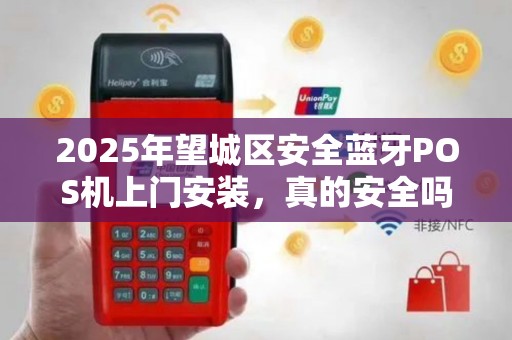 2025年望城区安全蓝牙POS机上门安装，真的安全吗？揭秘你不知道的3大隐患！