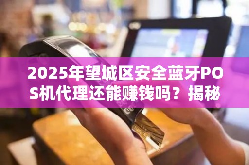 2025年望城区安全蓝牙POS机代理还能赚钱吗？揭秘行业现状与未来趋势！