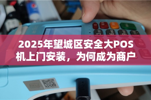 2025年望城区安全大POS机上门安装，为何成为商户新宠？