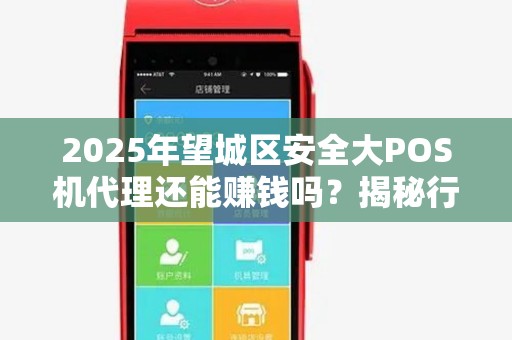 2025年望城区安全大POS机代理还能赚钱吗？揭秘行业现状与未来趋势！