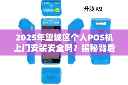 2025年望城区个人POS机上门安装安全吗？揭秘背后隐藏的三大风险！