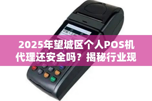 2025年望城区个人POS机代理还安全吗？揭秘行业现状与风险规避
