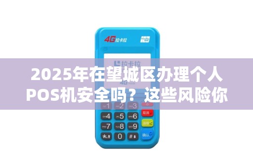 2025年在望城区办理个人POS机安全吗？这些风险你必须知道！