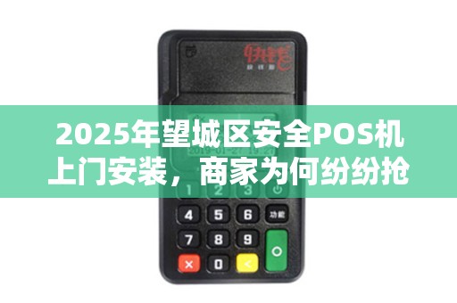 2025年望城区安全POS机上门安装，商家为何纷纷抢着预约？背后原因令人震惊！