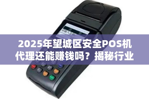 2025年望城区安全POS机代理还能赚钱吗？揭秘行业现状与未来趋势！