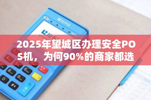 2025年望城区办理安全POS机，为何90%的商家都选错了？真相让人震惊！
