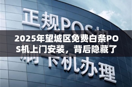 2025年望城区免费白条POS机上门安装，背后隐藏了哪些不为人知的秘密？