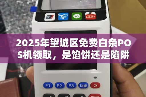 2025年望城区免费白条POS机领取，是馅饼还是陷阱？真相让人意外！