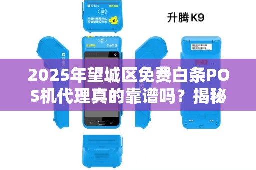2025年望城区免费白条POS机代理真的靠谱吗？揭秘背后的真相与风险！