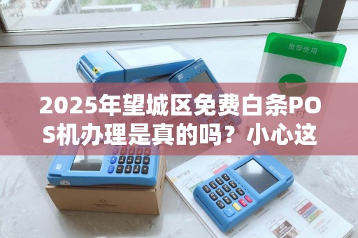 2025年望城区免费白条POS机办理是真的吗？小心这些隐藏套路！