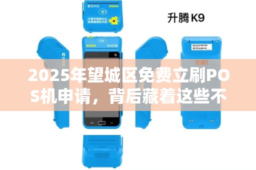 2025年望城区免费立刷POS机申请，背后藏着这些不为人知的秘密！