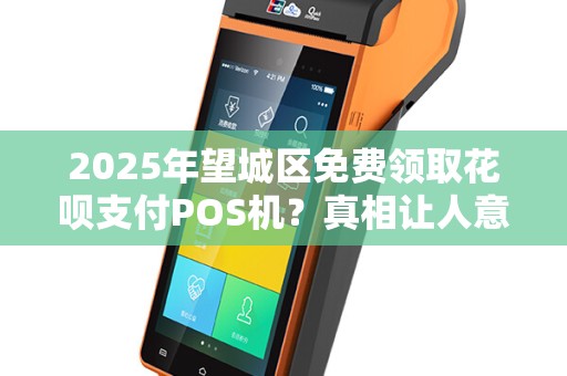2025年望城区免费领取花呗支付POS机？真相让人意外！