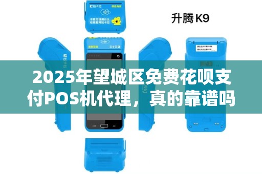 2025年望城区免费花呗支付POS机代理，真的靠谱吗？背后藏着这些猫腻！
