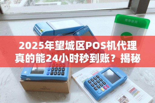 2025年望城区POS机代理真的能24小时秒到账？揭秘背后的真相！