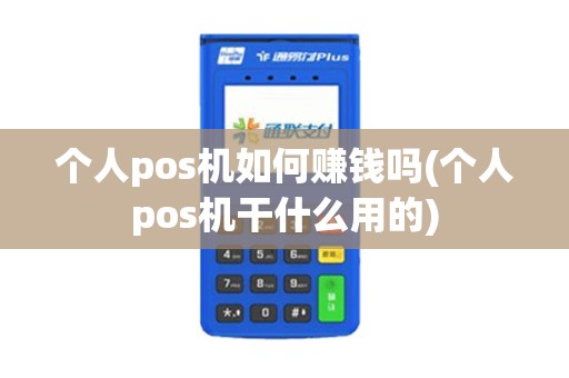 个人pos机如何赚钱吗(个人pos机干什么用的)