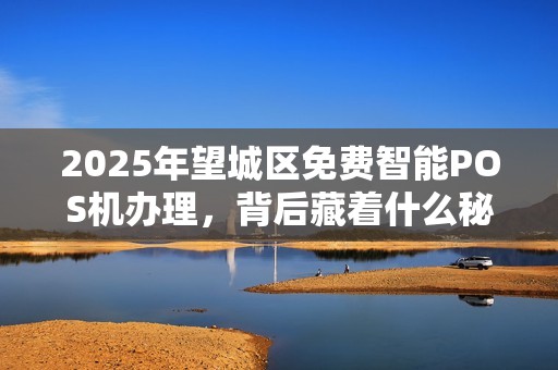 2025年望城区免费智能POS机办理，背后藏着什么秘密？