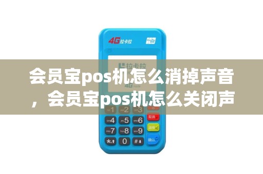 会员宝pos机怎么消掉声音，会员宝pos机怎么关闭声音