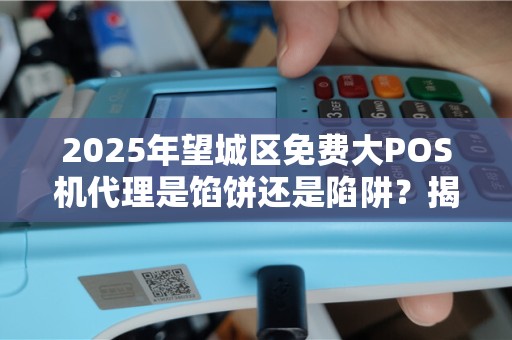2025年望城区免费大POS机代理是馅饼还是陷阱？揭秘背后真相！