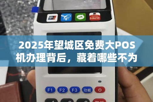 2025年望城区免费大POS机办理背后，藏着哪些不为人知的套路？