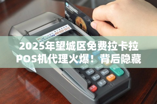 2025年望城区免费拉卡拉POS机代理火爆！背后隐藏哪些不为人知的秘密？