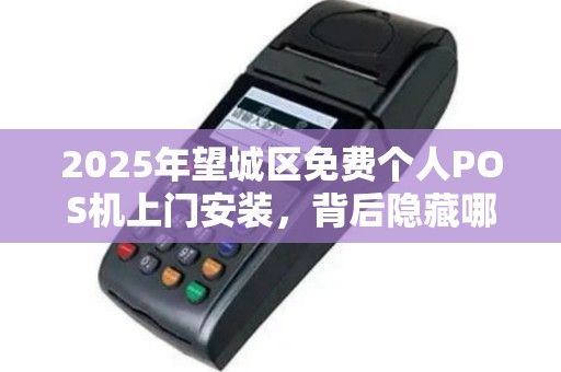 2025年望城区免费个人POS机上门安装，背后隐藏哪些不为人知的秘密？