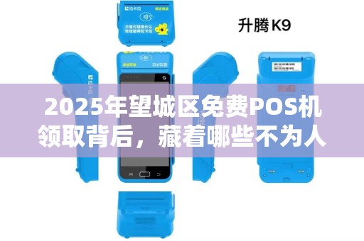 2025年望城区免费POS机领取背后，藏着哪些不为人知的秘密？