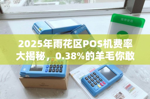 2025年雨花区POS机费率大揭秘，0.38%的羊毛你敢薅吗？