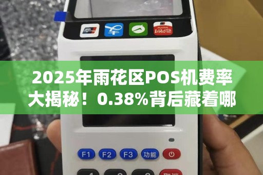 2025年雨花区POS机费率大揭秘！0.38%背后藏着哪些坑？