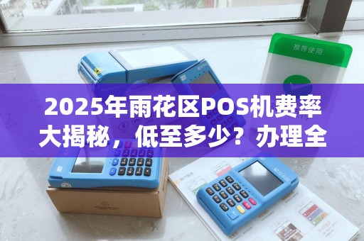 2025年雨花区POS机费率大揭秘，低至多少？办理全攻略！
