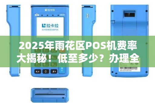 2025年雨花区POS机费率大揭秘！低至多少？办理全攻略在此！