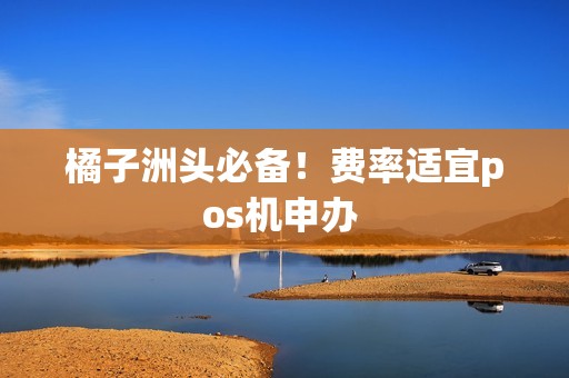 橘子洲头必备！费率适宜pos机申办 