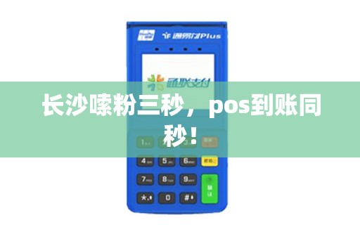 长沙嗦粉三秒，pos到账同秒！