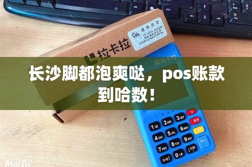 长沙脚都泡爽哒，pos账款到哈数！