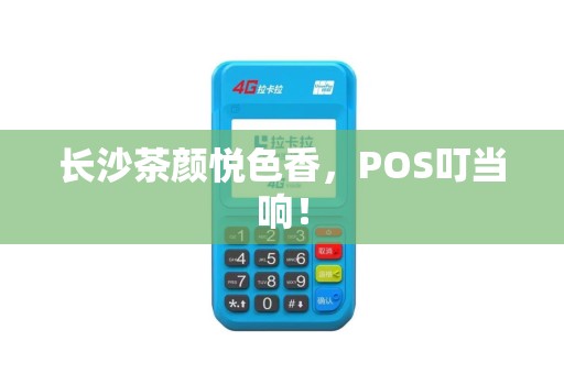 长沙茶颜悦色香，POS叮当响！