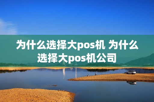 为什么选择大pos机 为什么选择大pos机公司