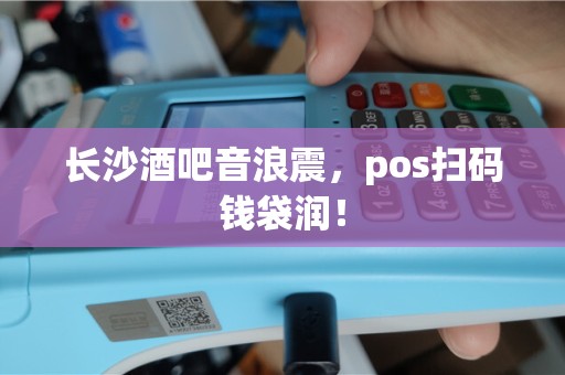 长沙酒吧音浪震，pos扫码钱袋润！