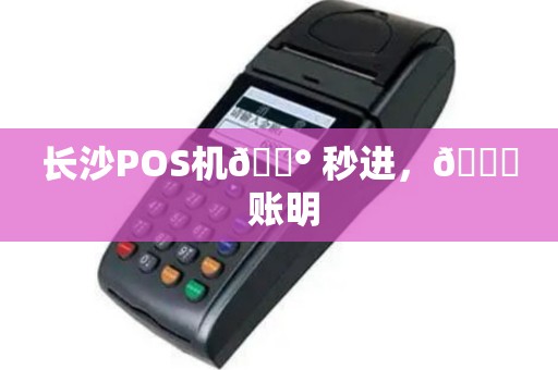 长沙POS机💰 秒进，📈 账明