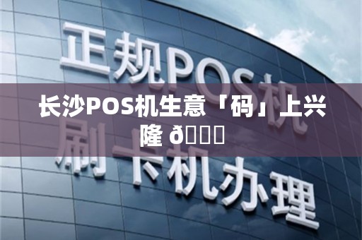 长沙POS机生意「码」上兴隆 🚀