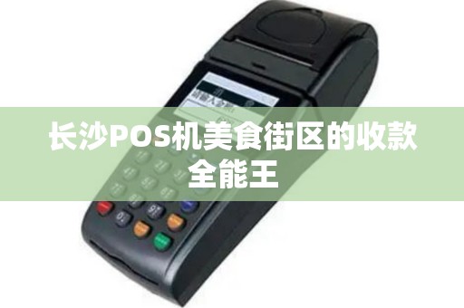 长沙POS机美食街区的收款全能王