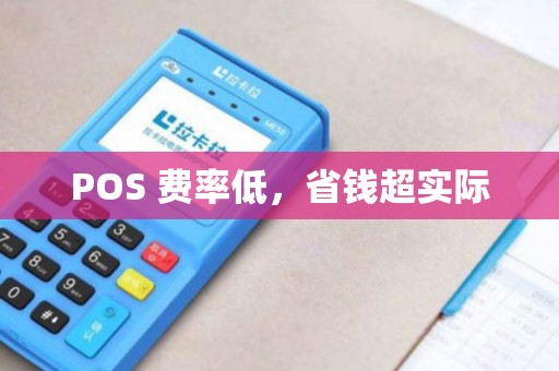 POS 费率低，省钱超实际