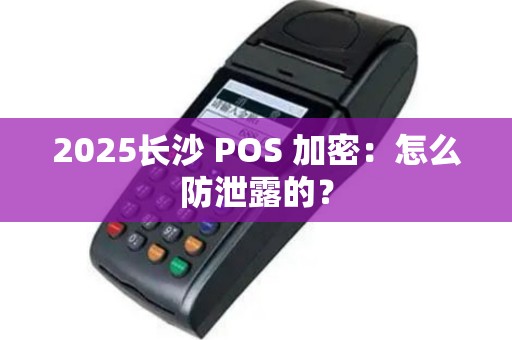 2025长沙 POS 加密：怎么防泄露的？