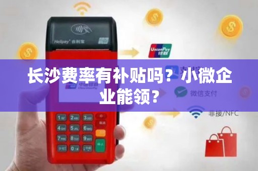 长沙费率有补贴吗?小微企业能领?