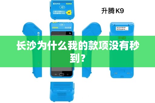 长沙为什么我的款项没有秒到？