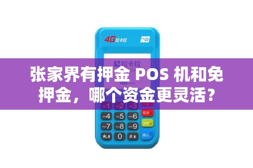 张家界有押金 POS 机和免押金，哪个资金更灵活？