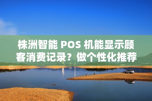 株洲智能 POS 机能显示顾客消费记录？做个性化推荐？