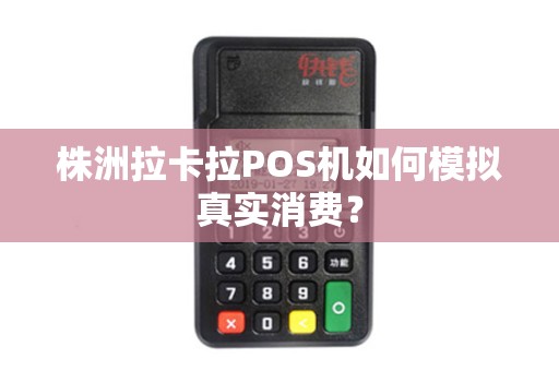 株洲拉卡拉POS机如何模拟真实消费？