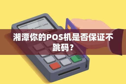 湘潭你的POS机是否保证不跳码？