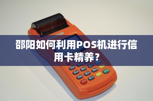 邵阳如何利用POS机进行信用卡精养？